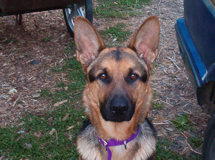 what a lovable face!